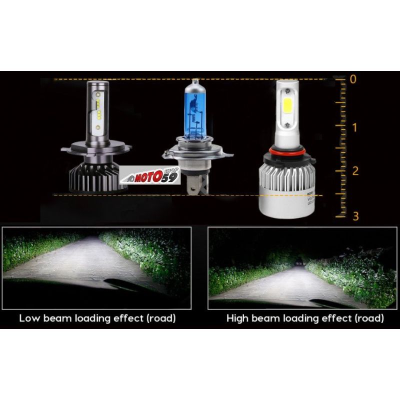 Ampoule de Veilleuse à LED Spéciale Canbus pour Moto