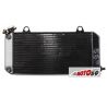 RADIATEUR YAMAHA XTZ 1200 SUPER TÉNÉRÉ 10-17